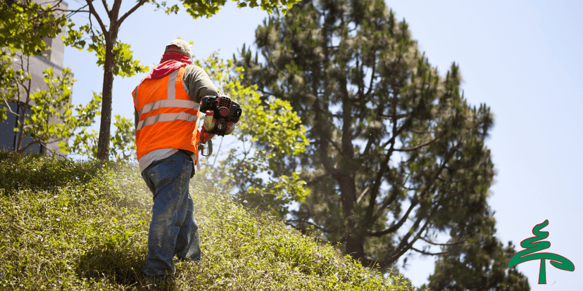Professional Tree Services in Metro Detroit | ReAction Tree, LLC