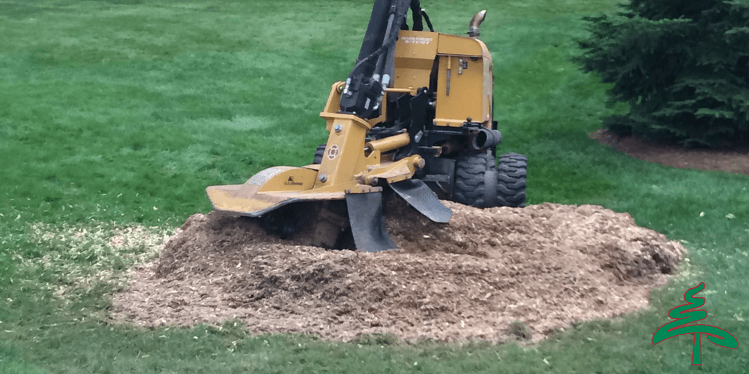 Professional Tree Services in Metro Detroit | ReAction Tree, LLC