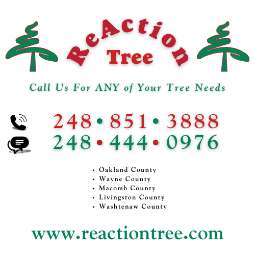Professional Tree Services in Metro Detroit | ReAction Tree, LLC